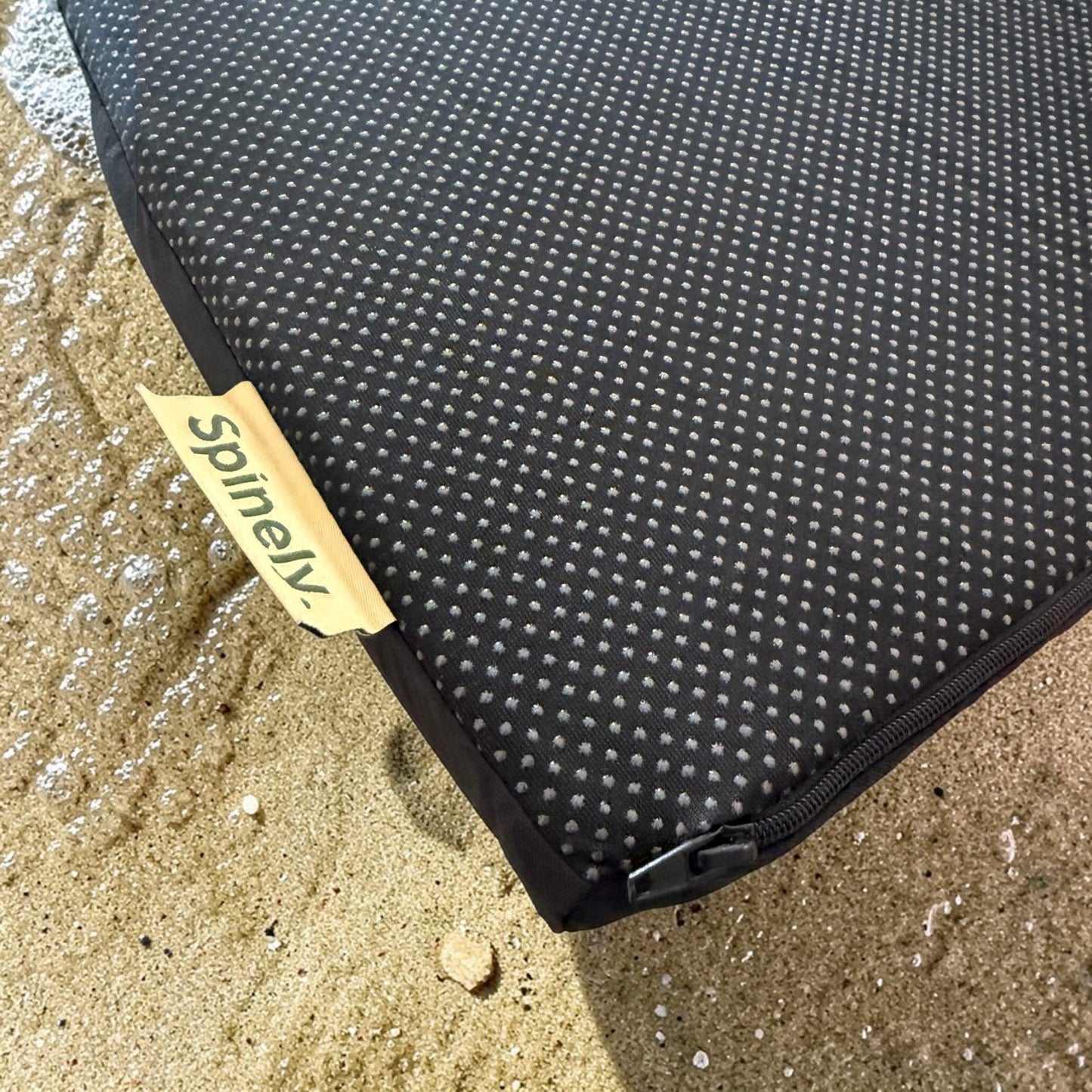 Spinely™ Shield Cushion