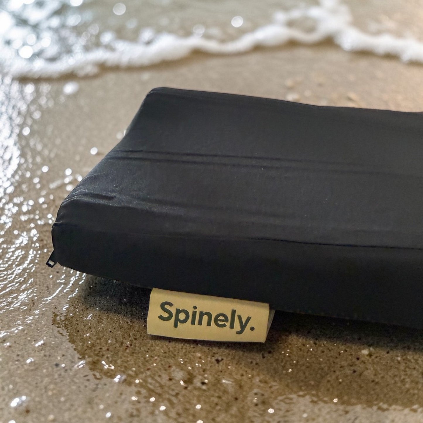 Spinely™ Shield Cushion