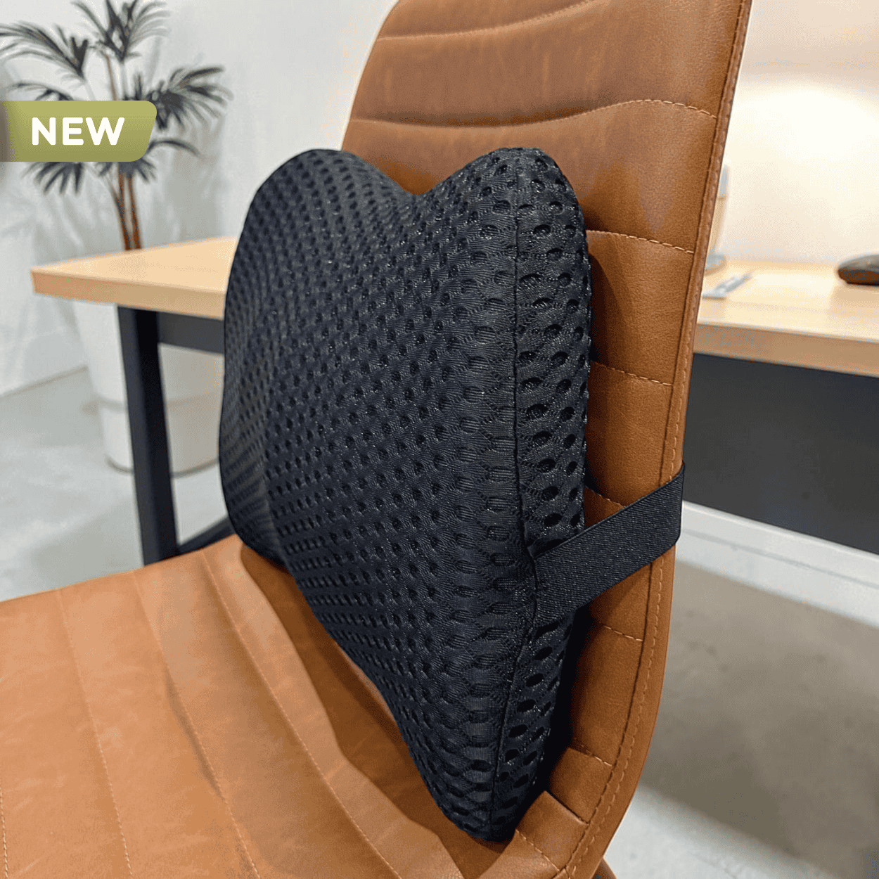 Spinely™ BackSupport