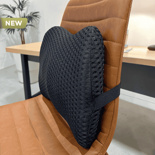 Spinely™ BackSupport